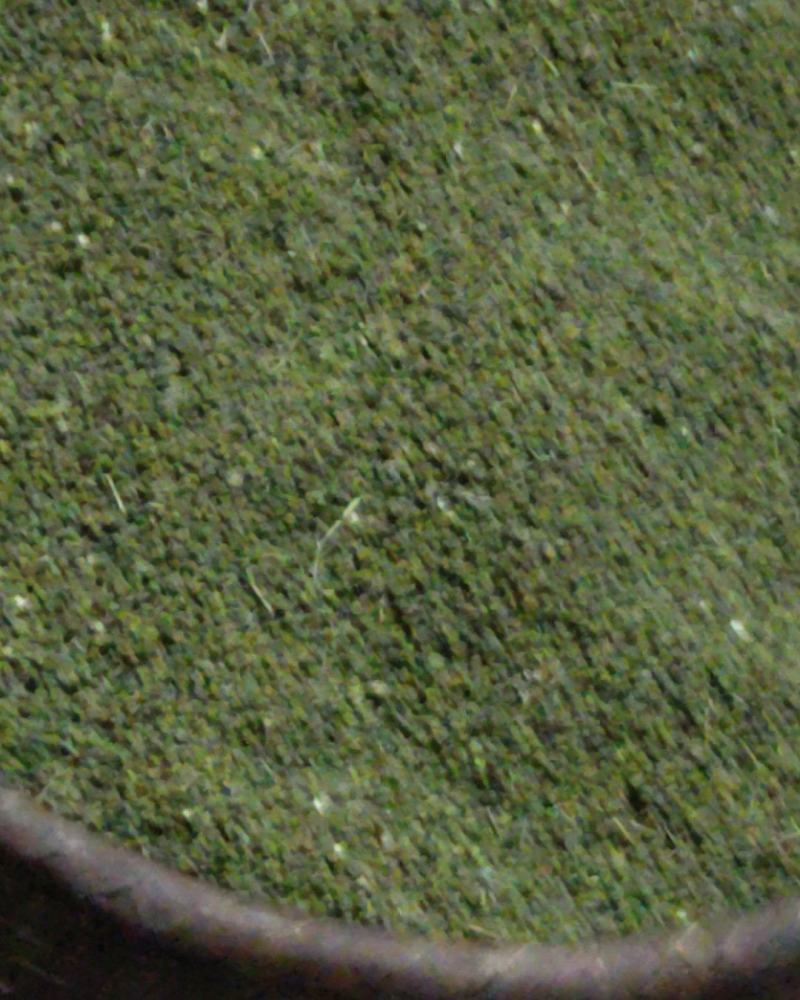 吴茱萸