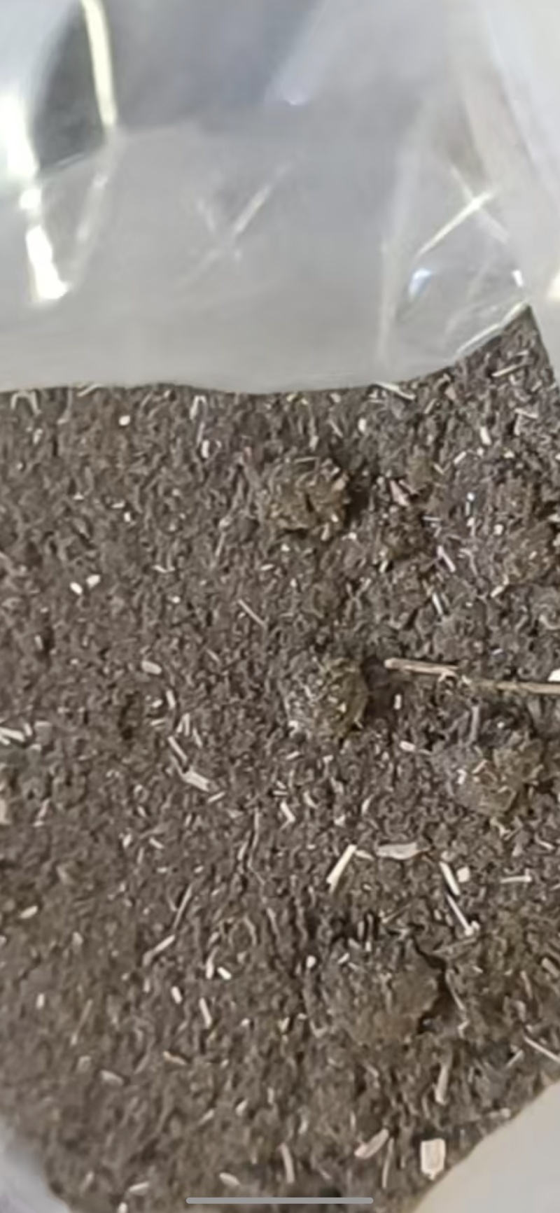 天然艾粉
