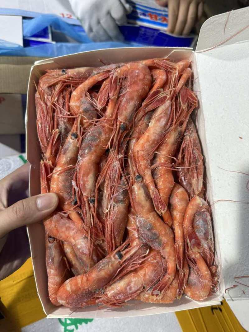 地球甜虾超低温产品40-6050-70
