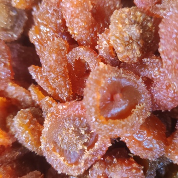 刺梨果脯