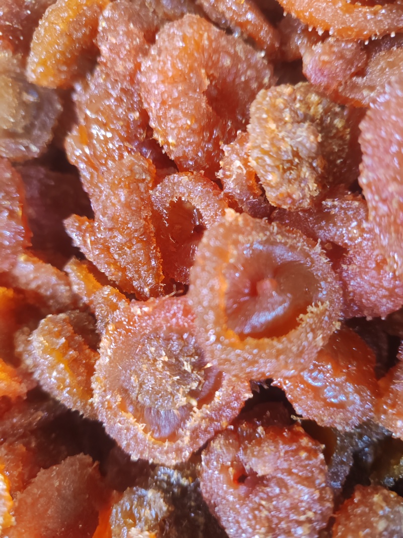 刺梨果脯