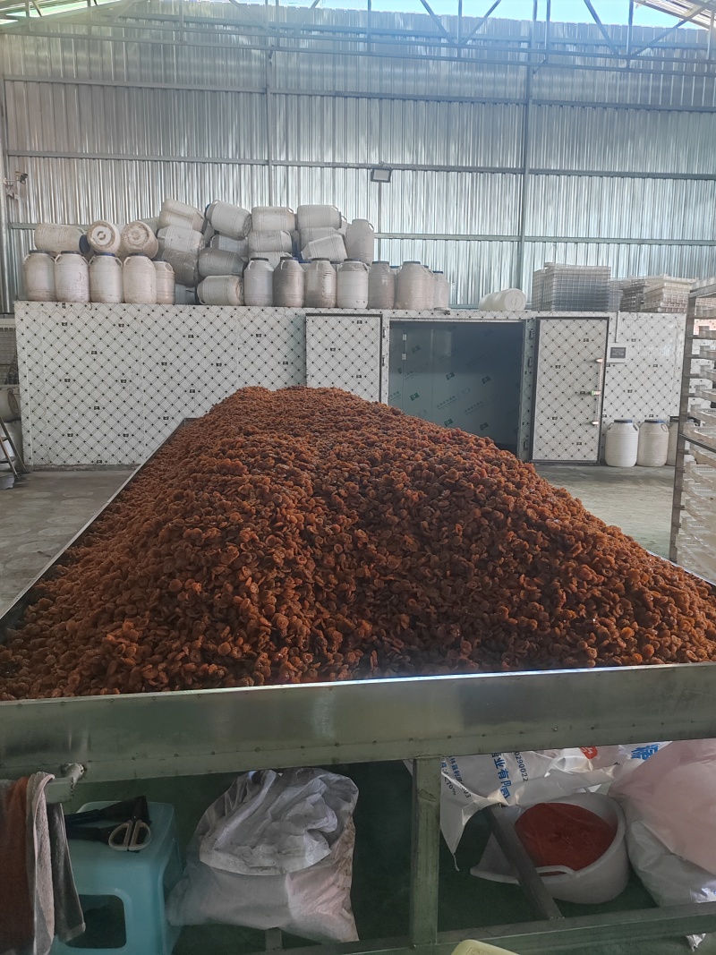 刺梨果脯