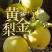 湖北恩施黄金梨