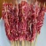 安格斯牛肉，进口gbs原切肉，肥牛肥羊。