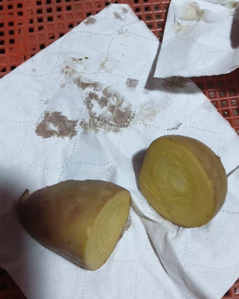 鸡宝