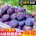 新疆西梅一件代发。顺丰包邮彩箱礼盒装精品果
