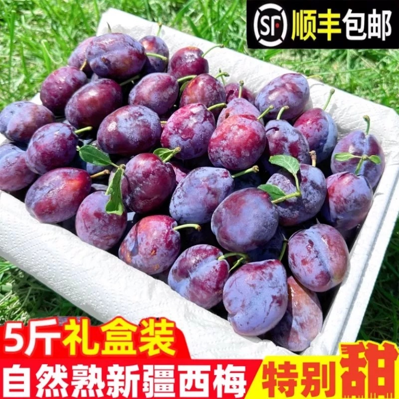新疆西梅一件代发。顺丰包邮彩箱礼盒装精品果
