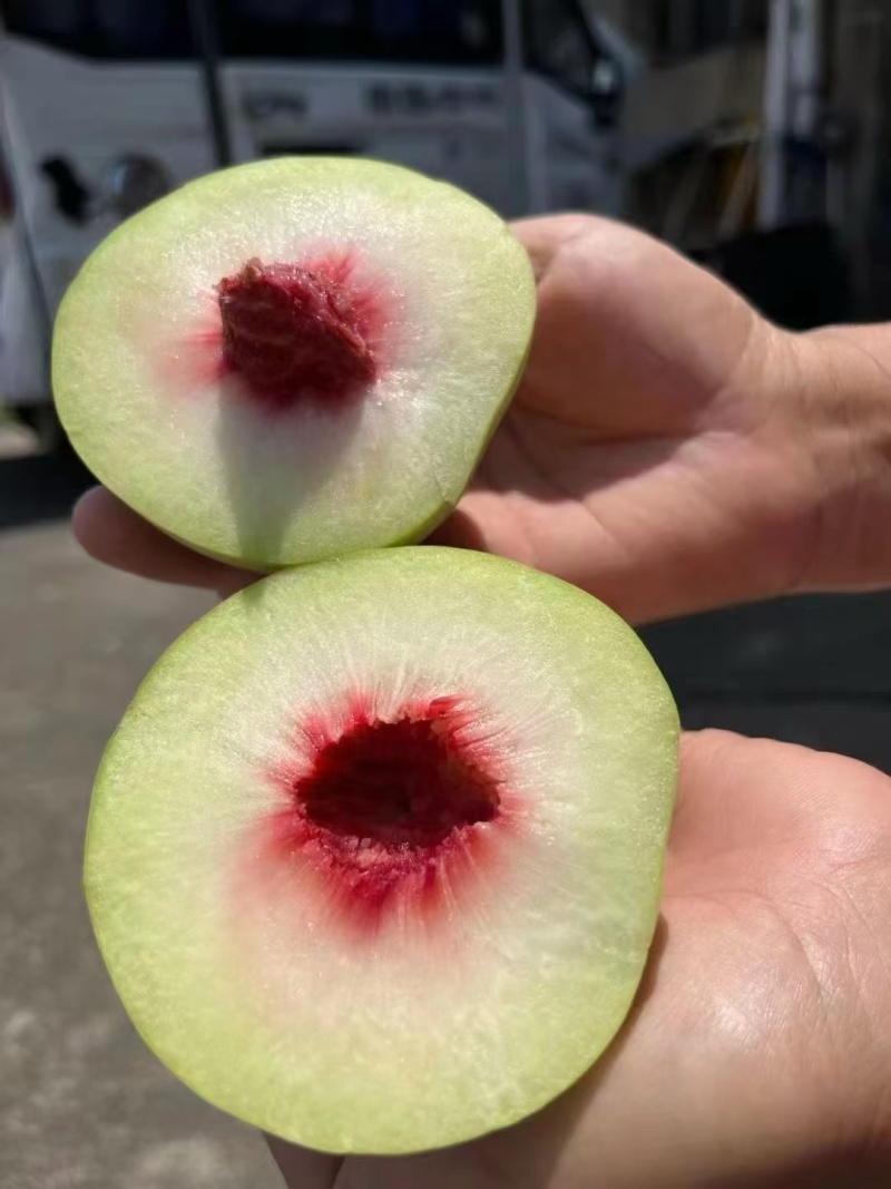 高山红心脆蜜桃🍑