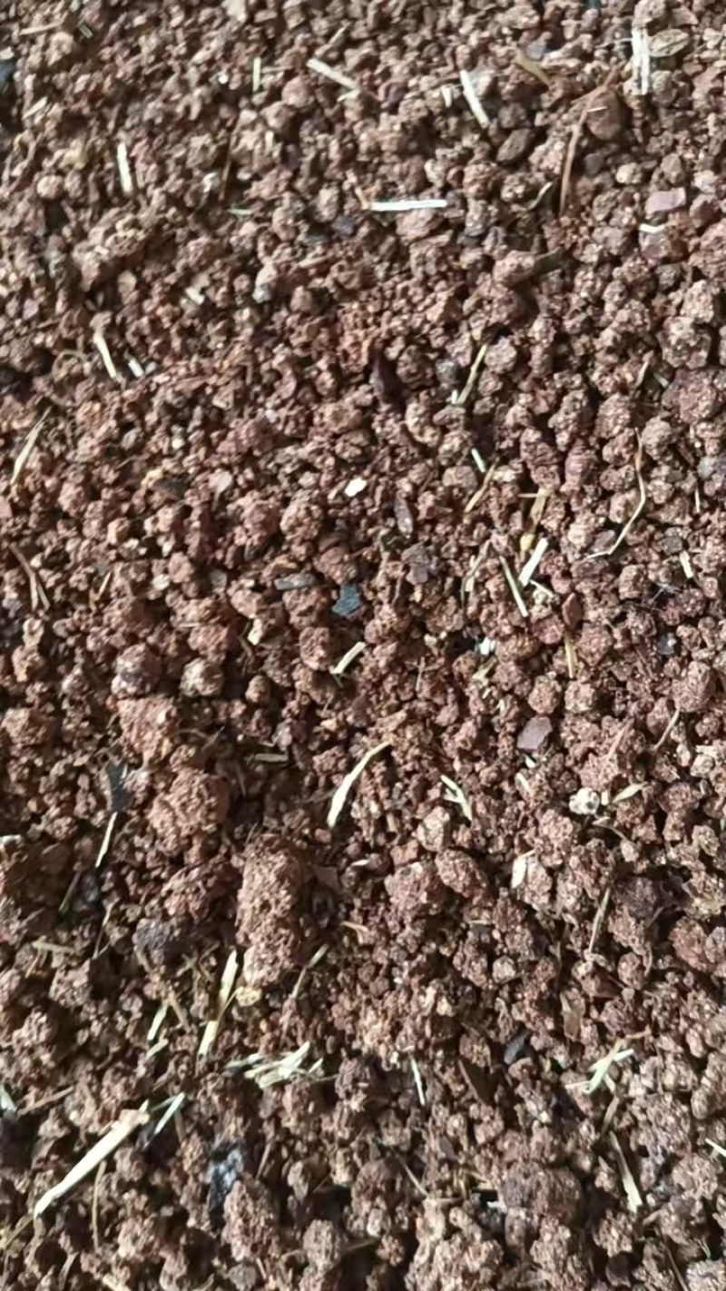 精品茶饼茶粕厂家直销