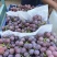 飓风葡萄