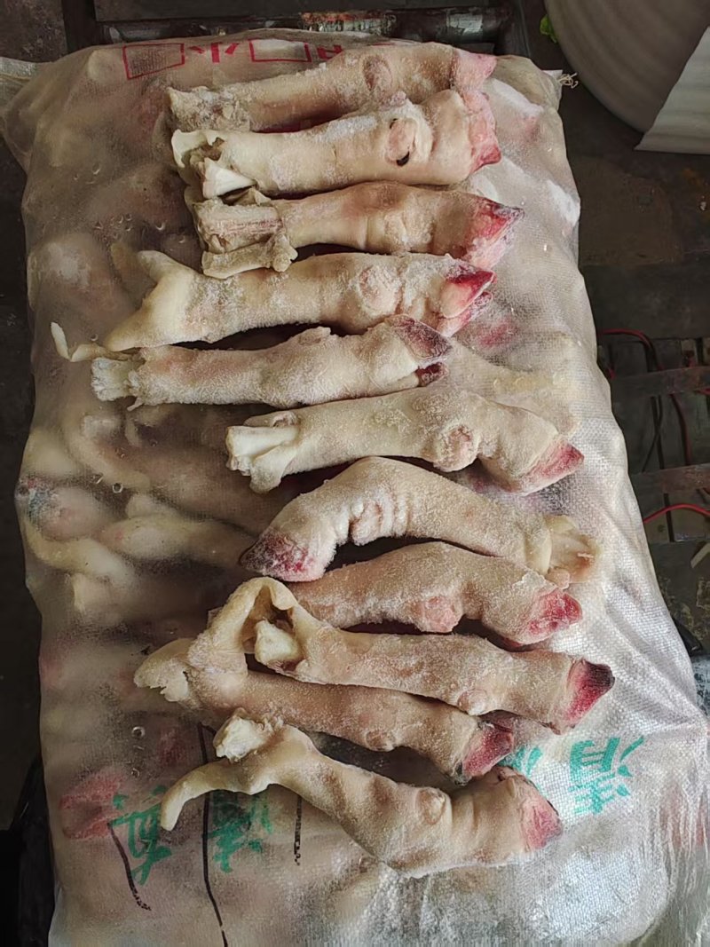 小羊蹄