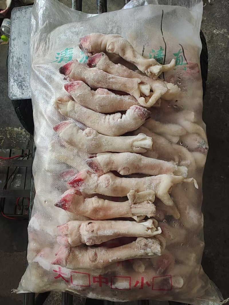 小羊蹄