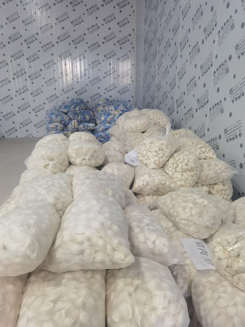水饺