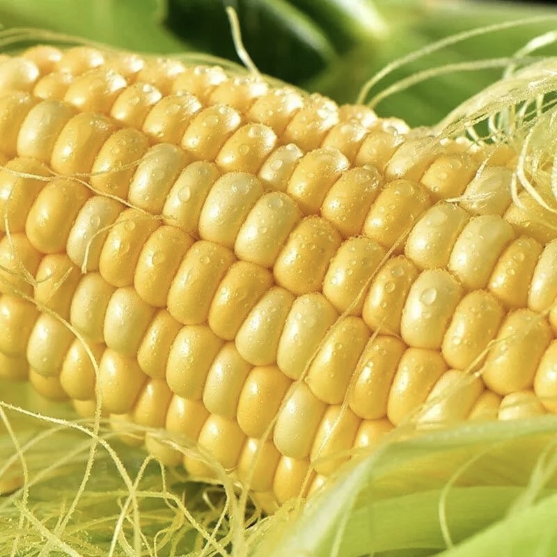 水果玉米🌽