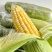 水果玉米🌽