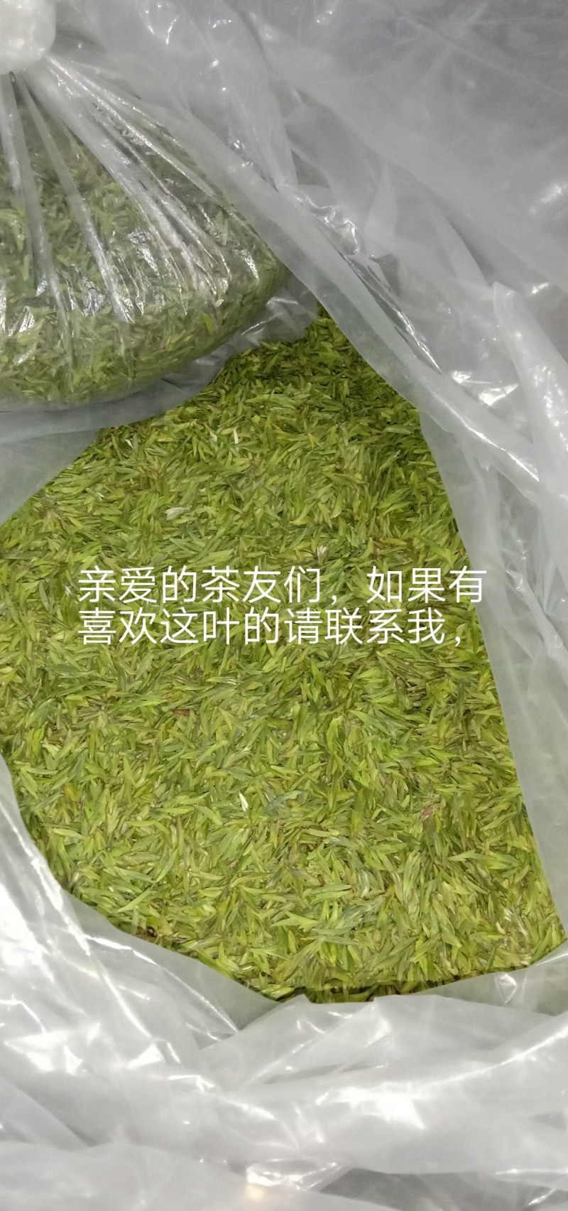 筠连茶香