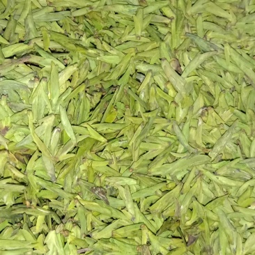 筠连茶香