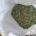 蔓荆子