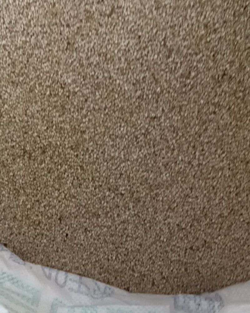 现货过振动筛选白芝麻