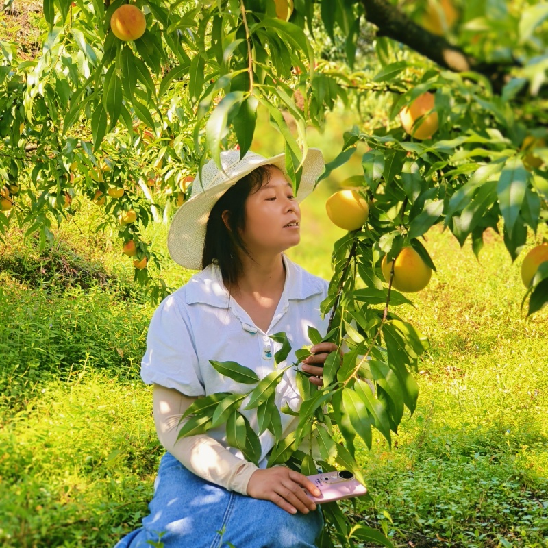 锦绣黄桃，地址在筠连县蒿坝镇齐心村，