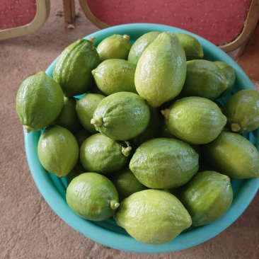 香水柠檬🍋