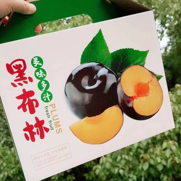 黑布林