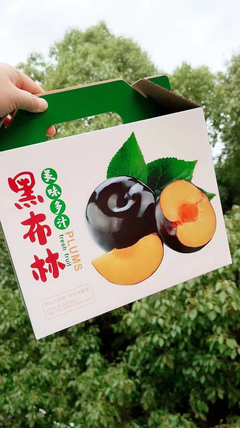 黑布林