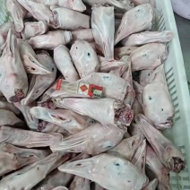 去舌仔鹅头8吨