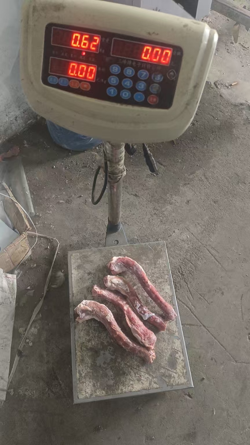 黑凤鹅脖