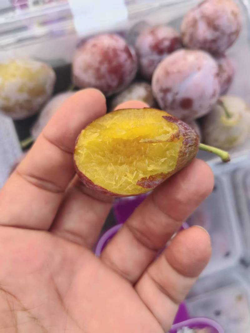 水果全品