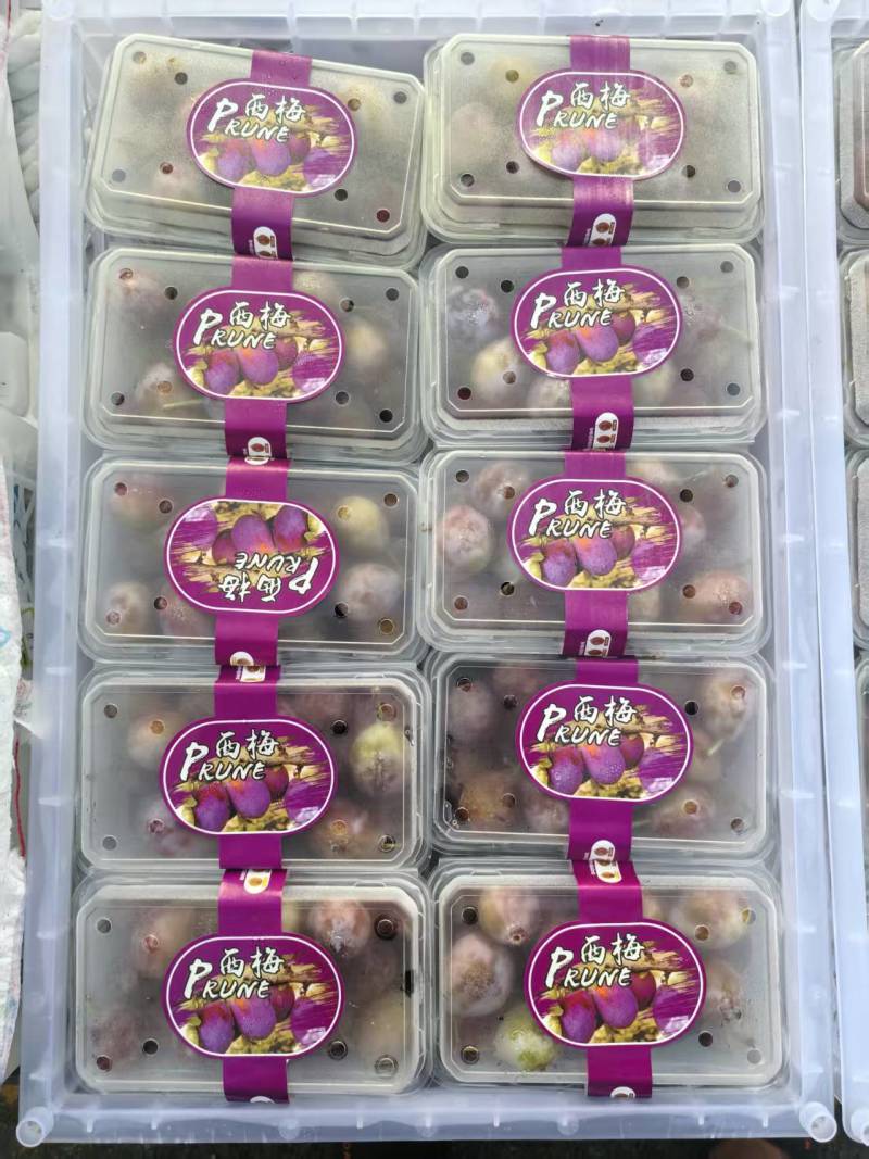 水果全品
