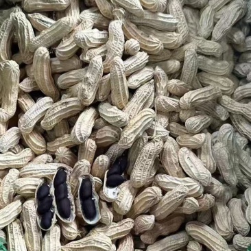 云南黑花生，七彩花生，咸干味