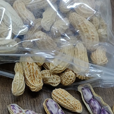 云南七彩花生云南黑花生