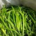 二荆条辣椒