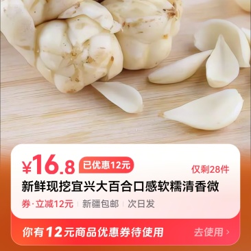 兰州百合