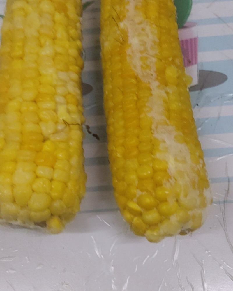 出售粘玉米
