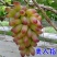 长兴县美人指葡萄，口感脆甜