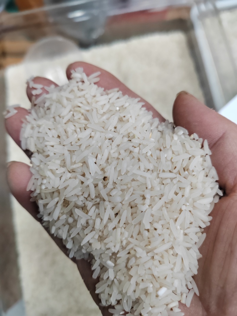 现碾不抛光打蜡的大米，刮米糠，谷壳。价格面议