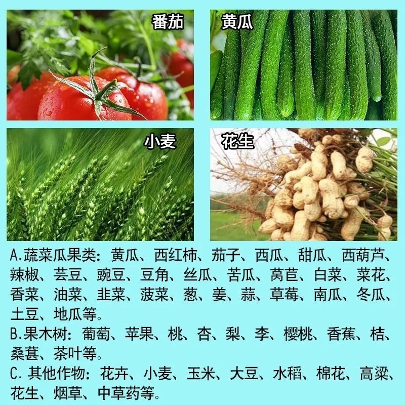 叶绿素