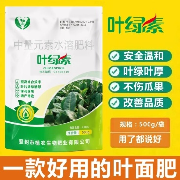 叶绿素