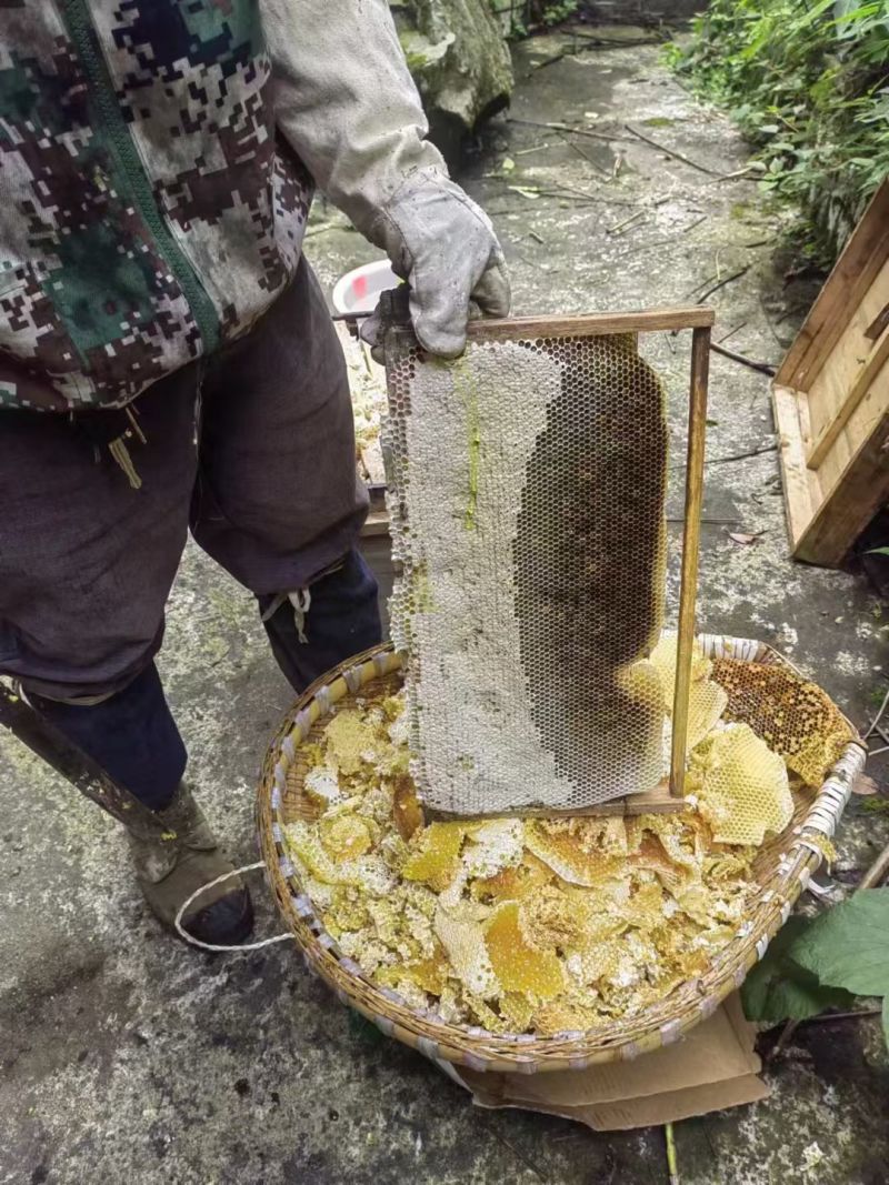自己家高山蜂蜜，五倍子蜂蜜，***任何东西，***的野蜂