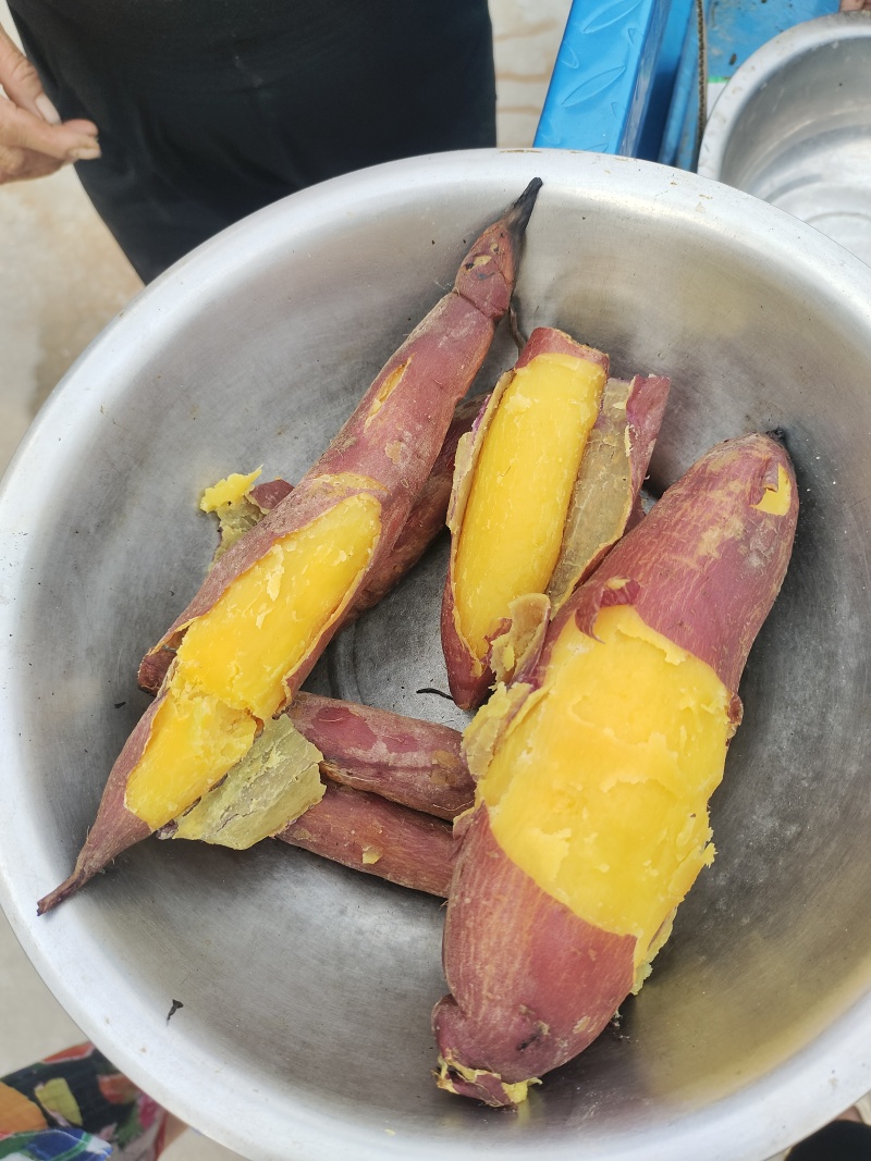 红薯，济薯