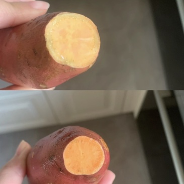 烟薯