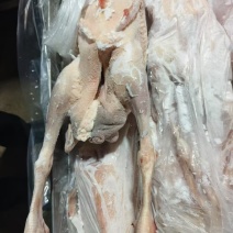 黑棕鹅