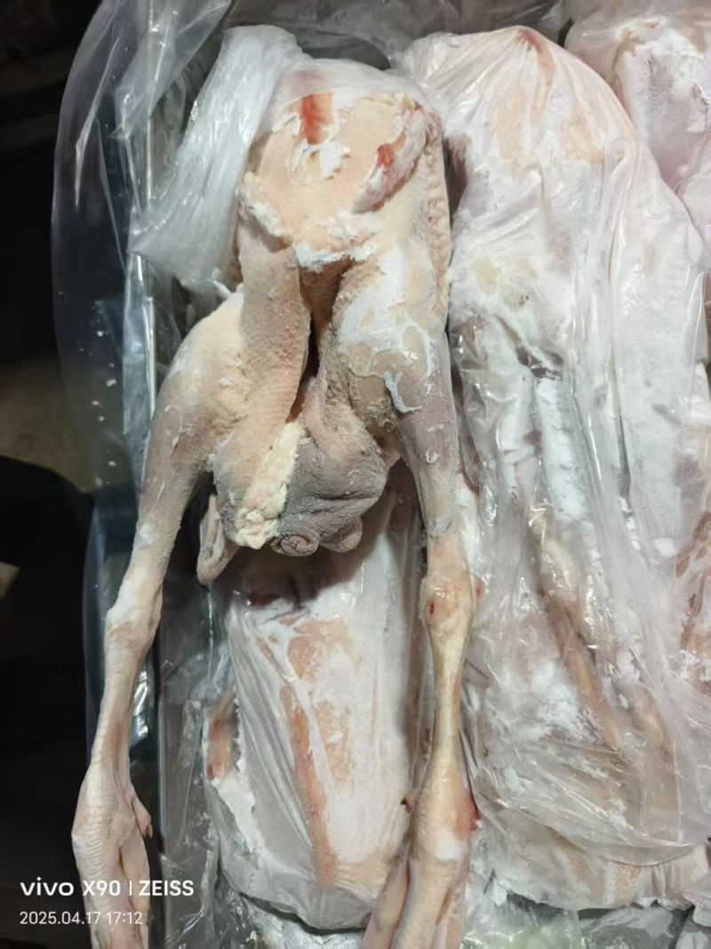 黑棕鹅