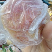 山西大型硬质毛桃，秦王，超越大量下树，***********