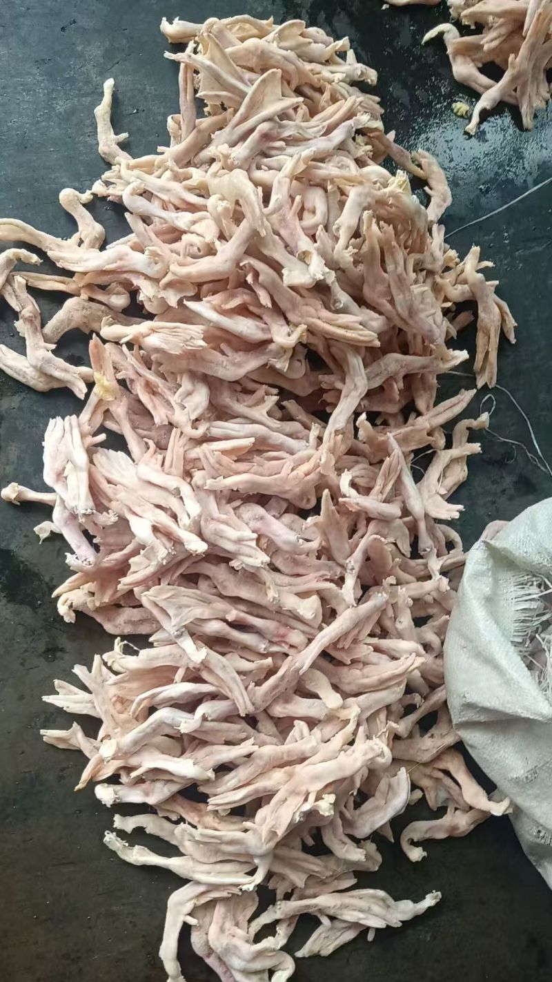 白条小鸭掌
