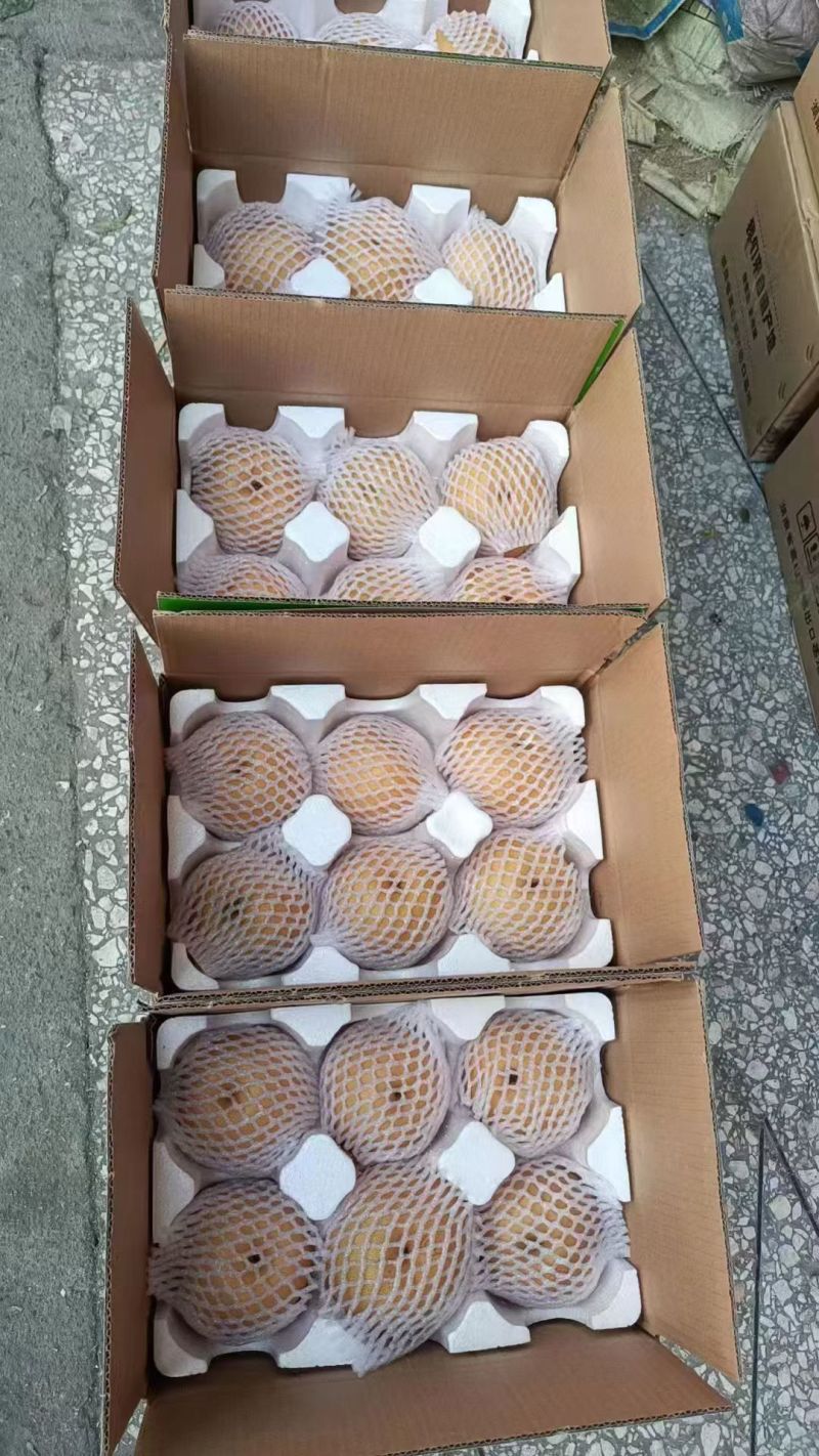 金秋梨大量上市，量大价优脆甜