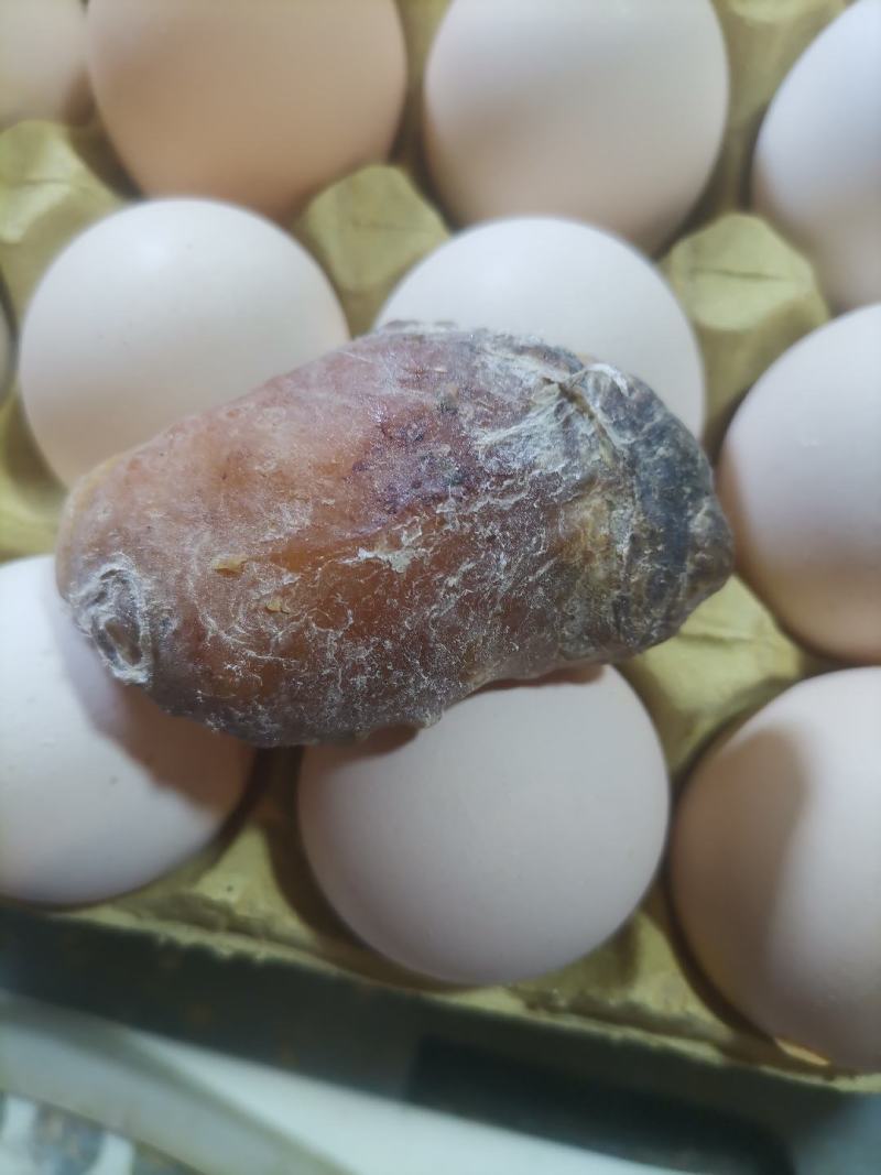 鸡宝