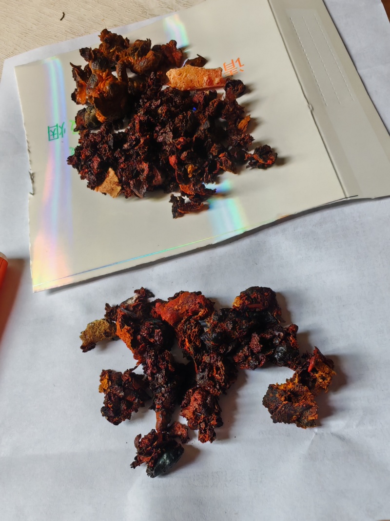 天然管黄